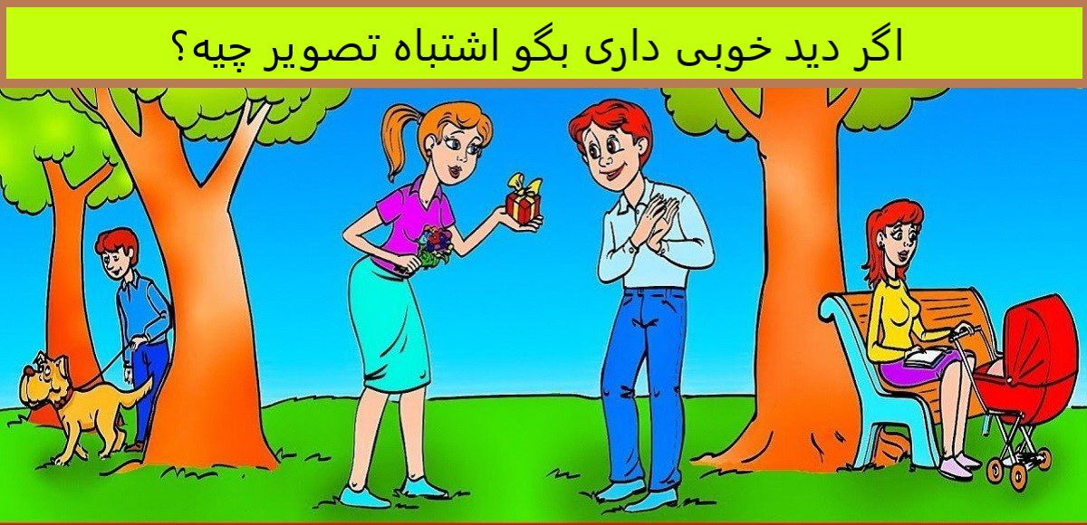 معمای اشتباه تصویر