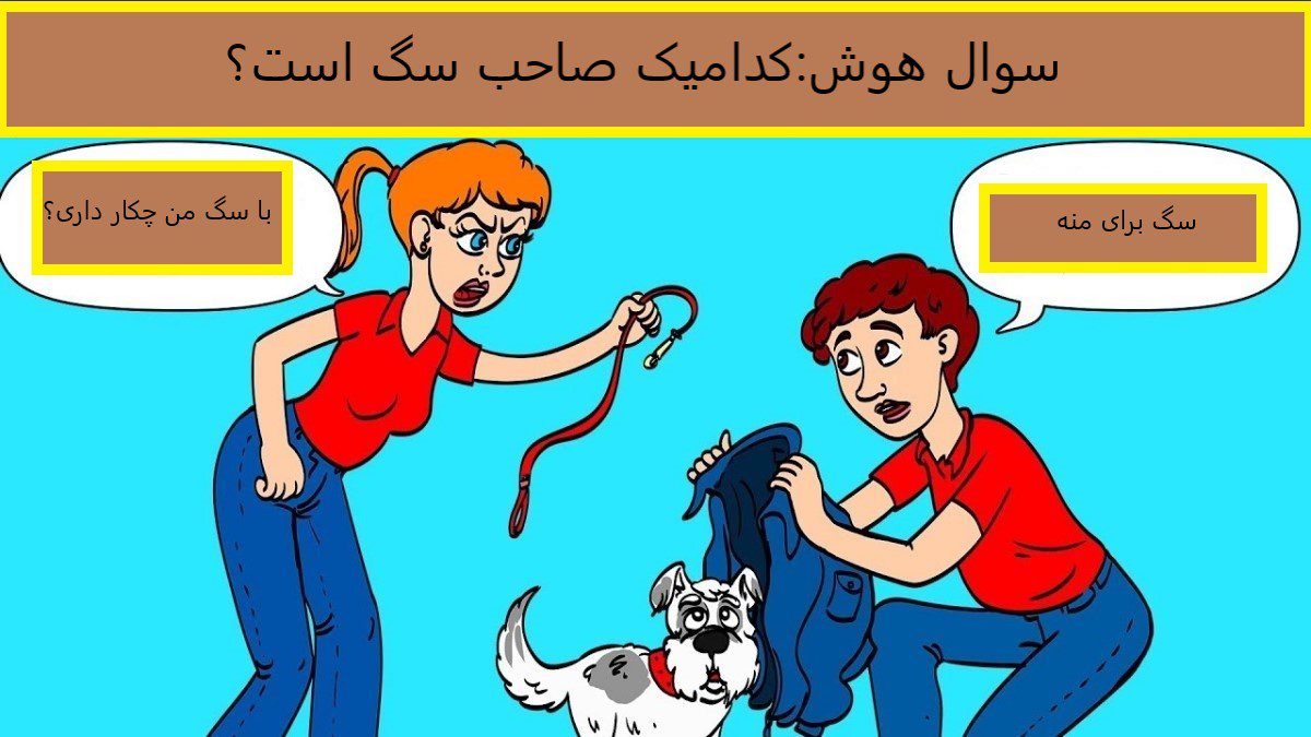 سوال هوش صاحب سگ