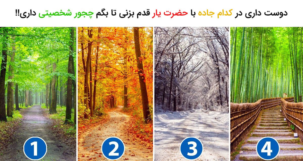 تست شخصیت شناسی جاده