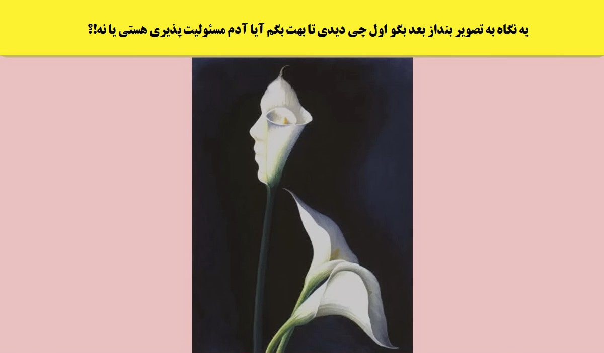 تست-شخصیت-گل-و-چهره-1
