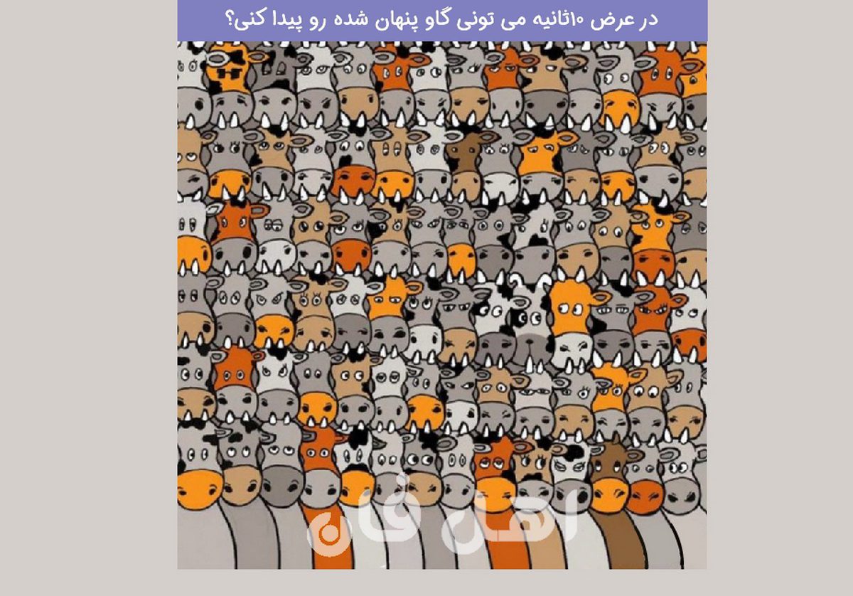 آزمون دقت ذهن با پیدا کردن سگ