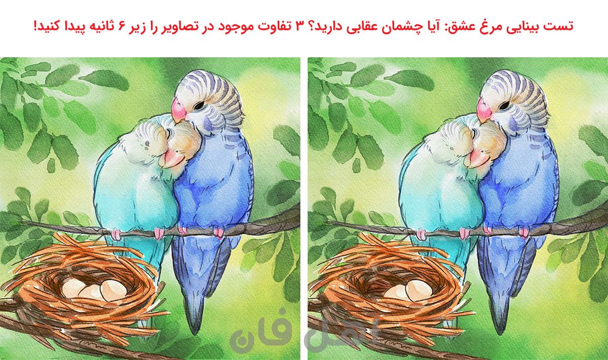 تست بینایی مرغ عشق