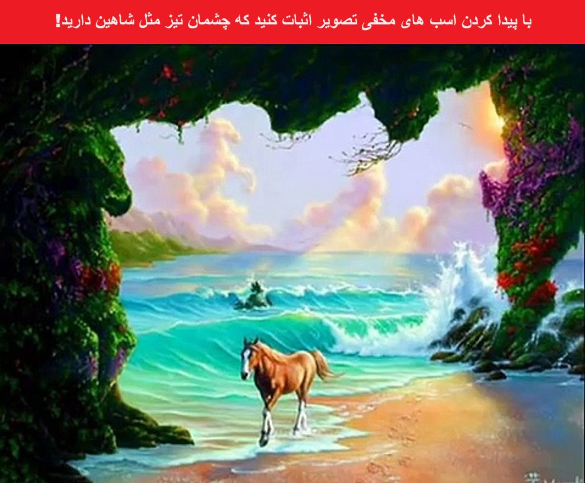 آزمون دقت ذهن با تصاویر اسب