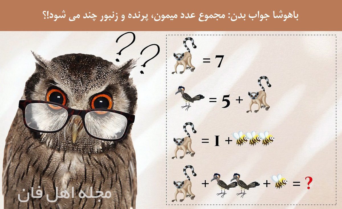 آزمون ریاضی با مجموع حیوانات