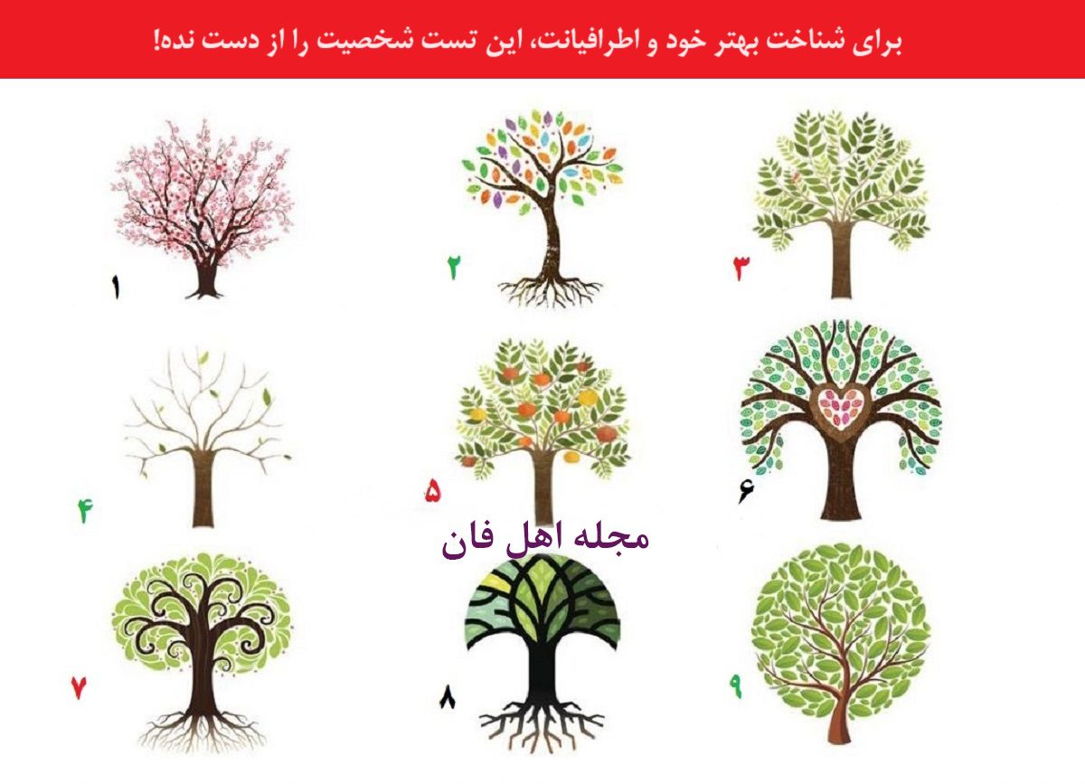 تست شخصیت با انتخاب درخت