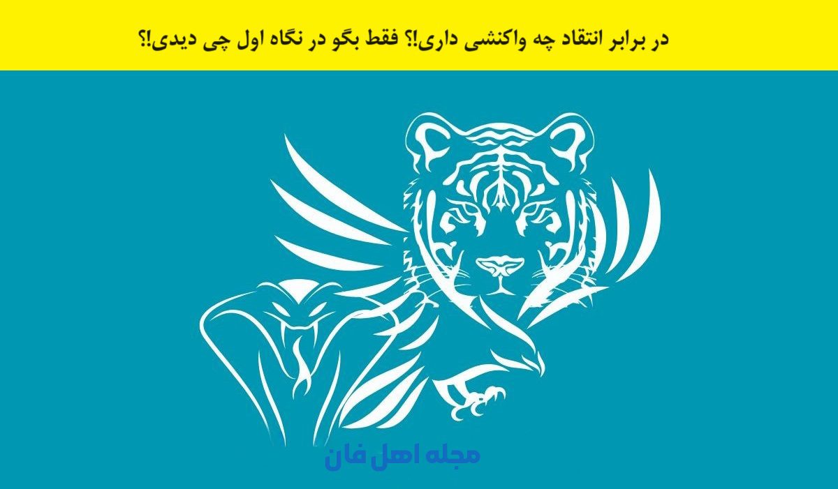 تست شخصیت شناسی با فهم تصویر