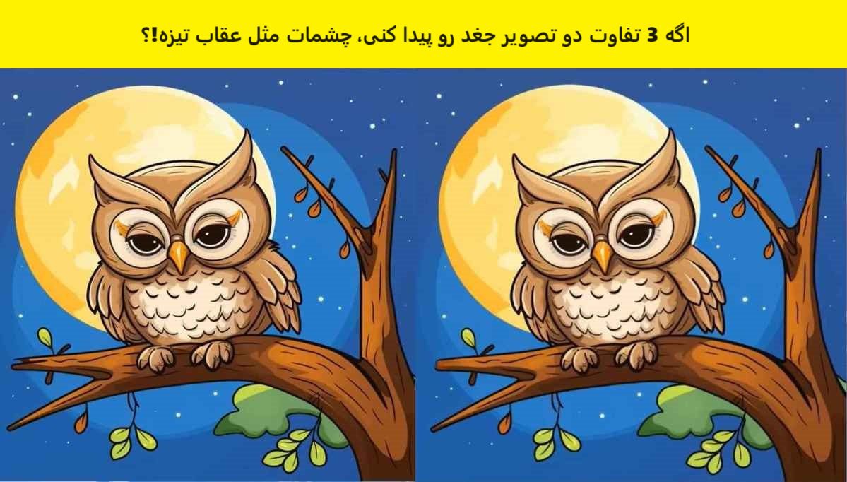 آزمون با شناخت تفاوت های تصویر جغد