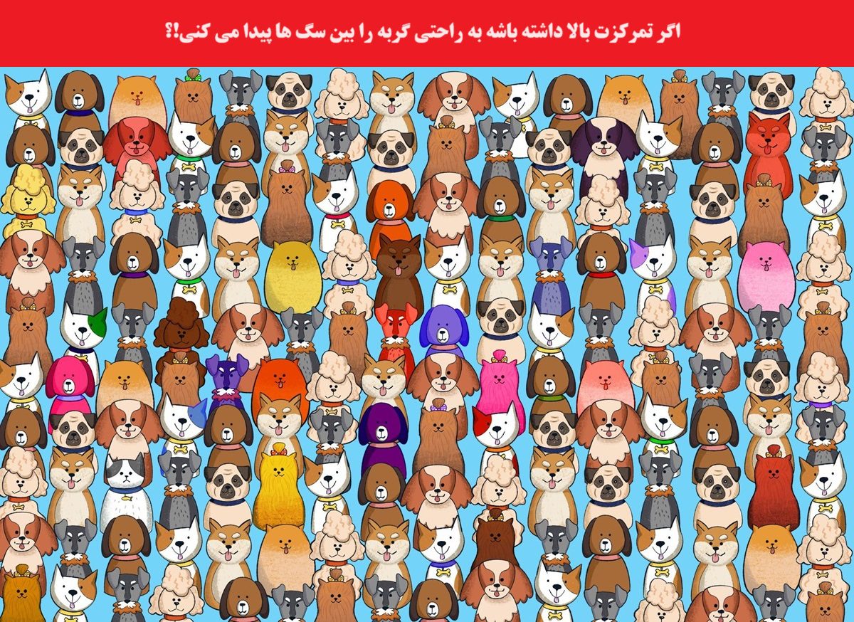 آزمون شناسایی گربه میان سگ ها