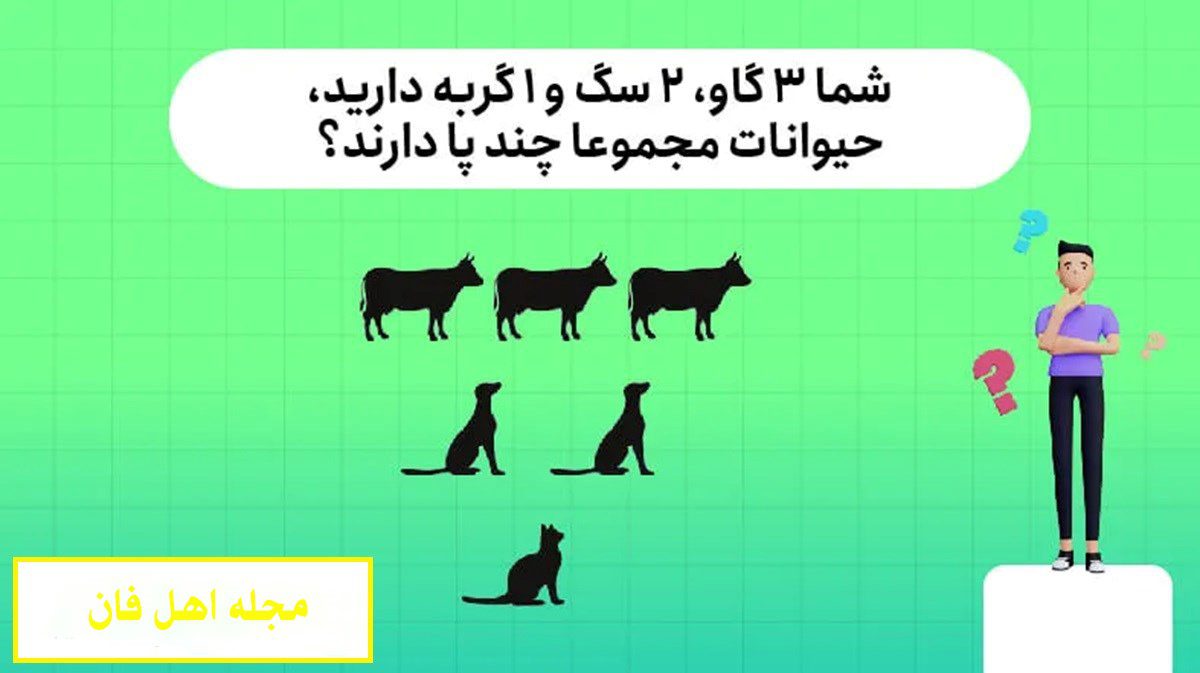 معمای هوش با تعداد پای حیوانات