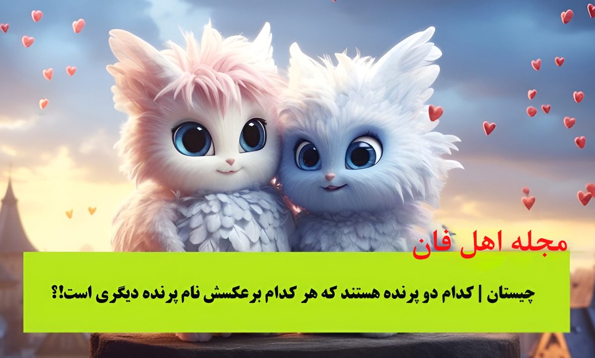 چیستان ساده 9