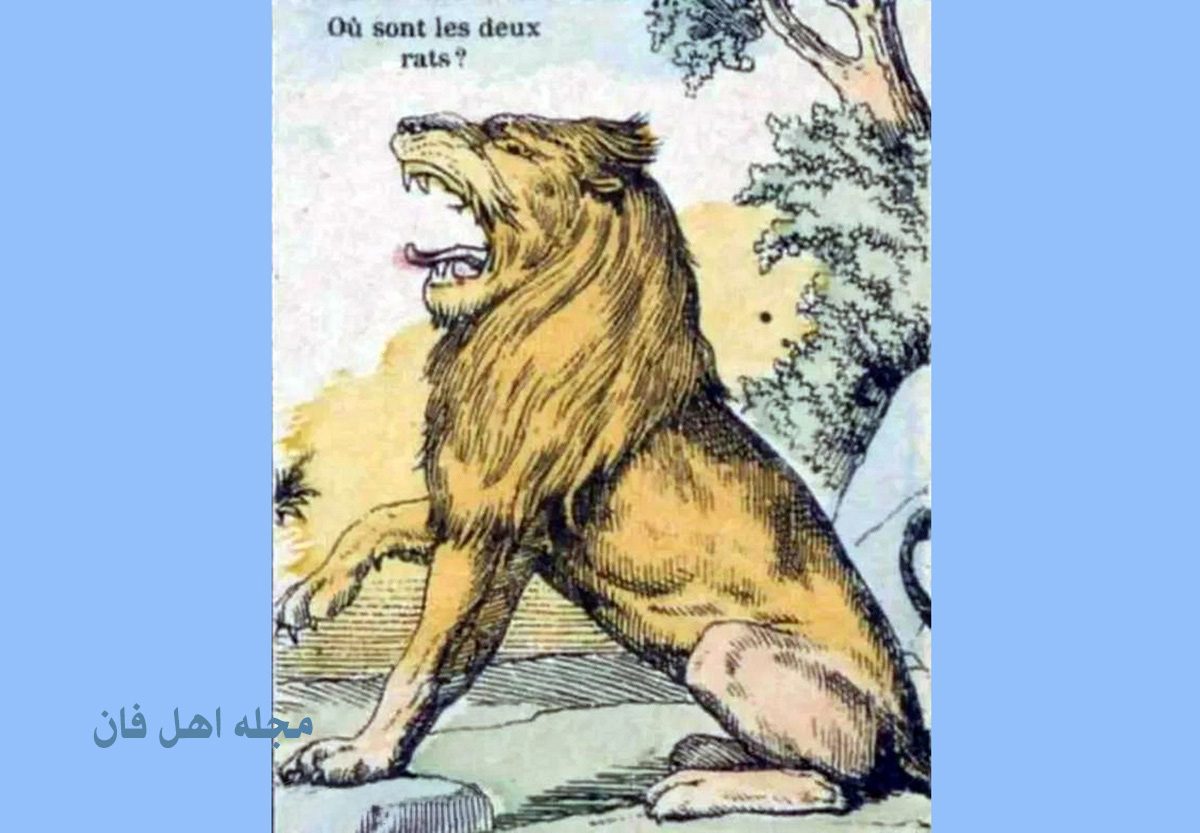آزمون دید با شیر و موش