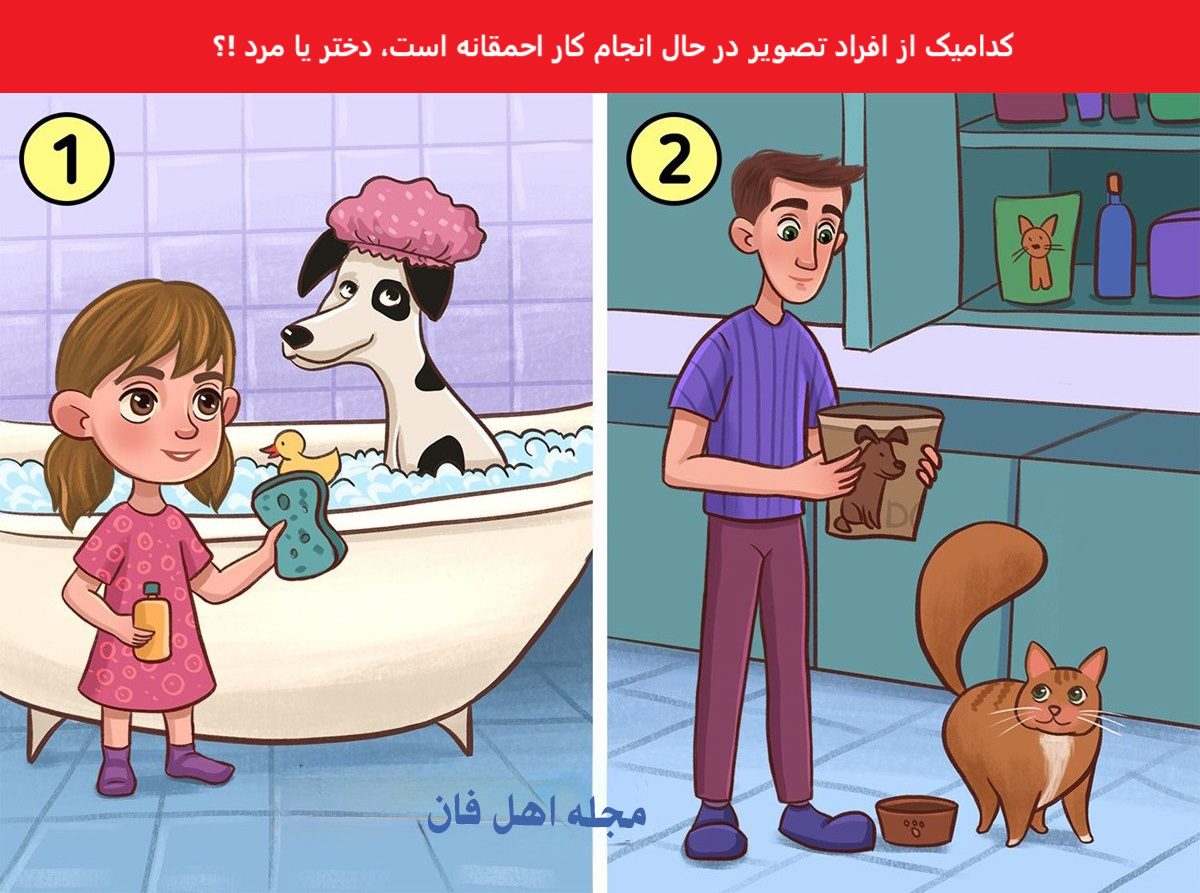 سوال شناسایی احمق تر