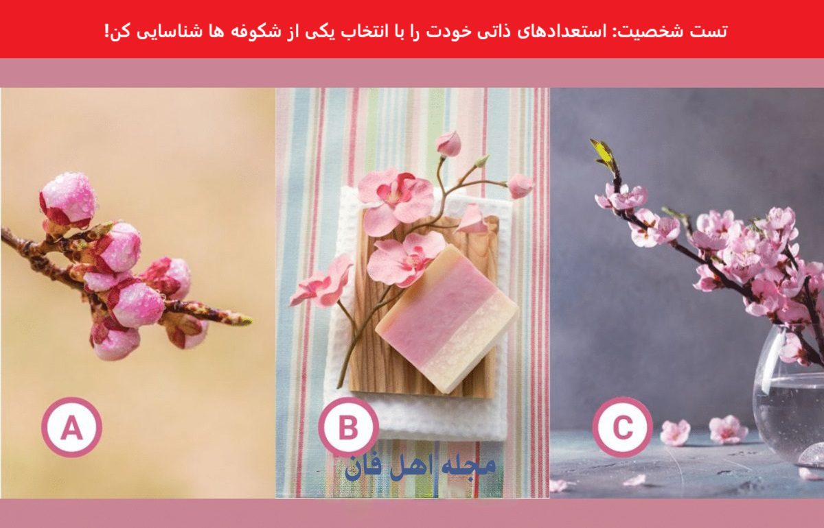 تست شخصیت با انتخاب شکوفه