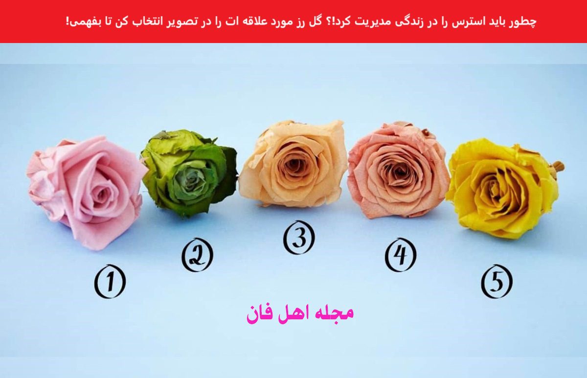 تست شخصیت با انتخاب گل رز