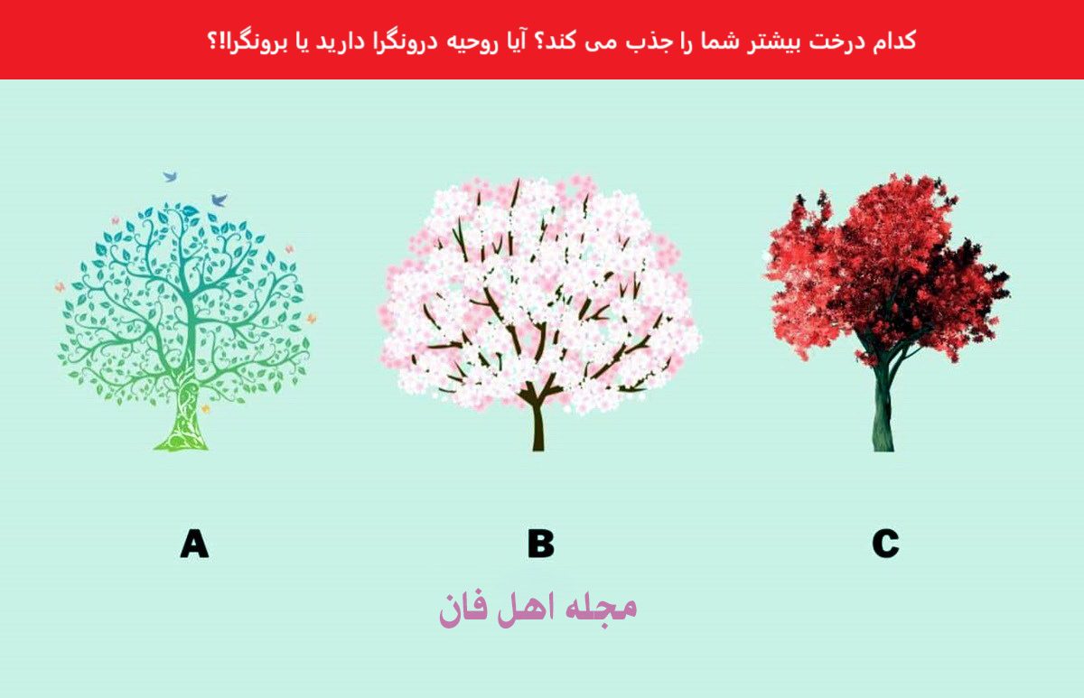 تست شخصیت درونگرایی با درخت