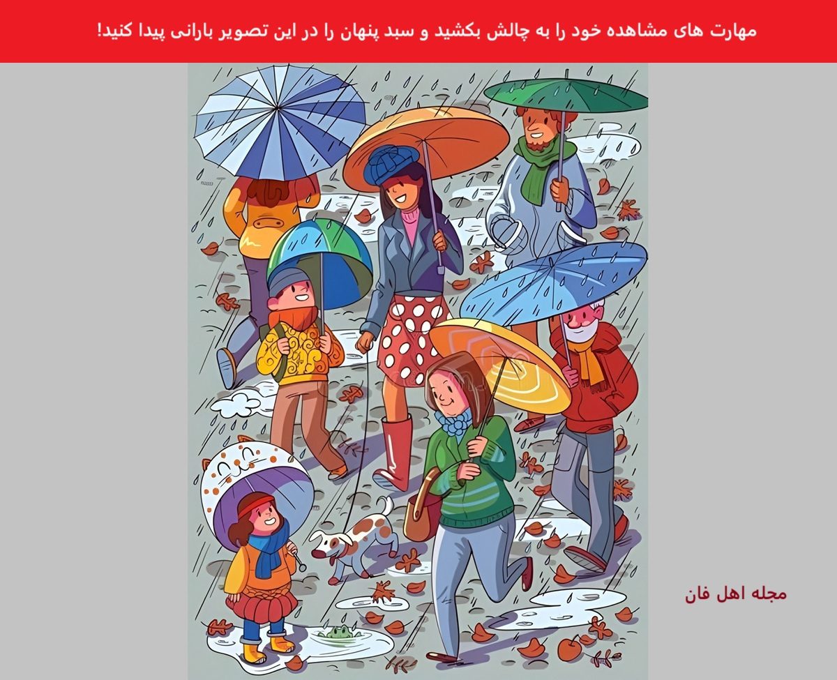 تست بینایی سبد پنهان در تصویر بارانی