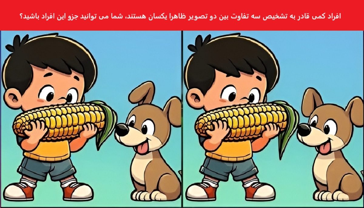 تفاوت تصویری پسر ذرت به دست