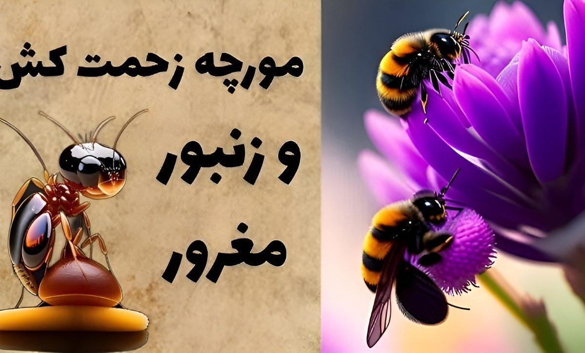 حکایت مورچه زحمت کش و زنبور مغرور