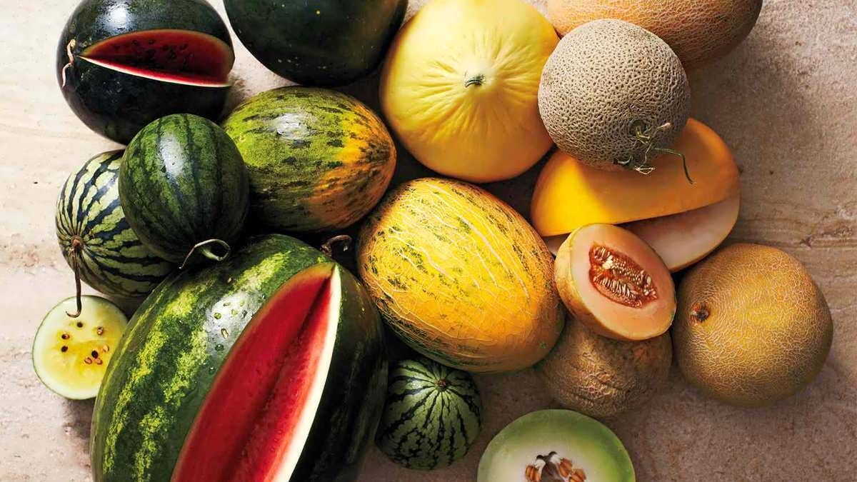 روش های تشخیص گرمک، طالبی، ملون و شاه پسند