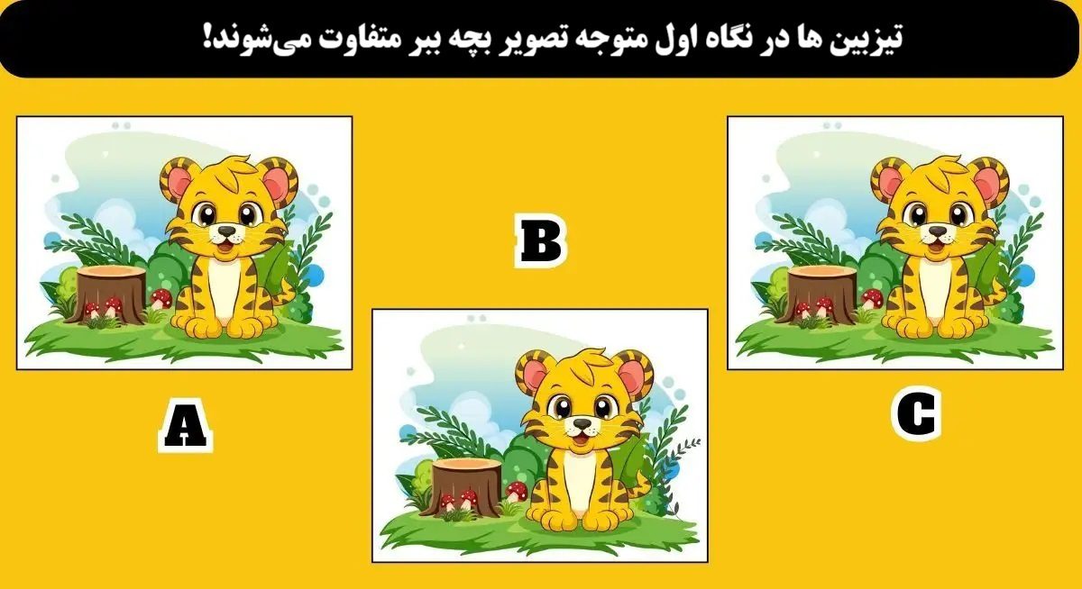 تست قدرت دید با بچه ببر متفاوت