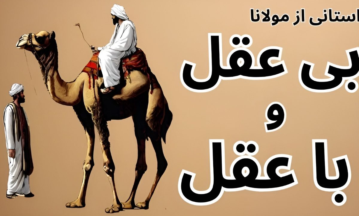 داستان بی عقل و با عقل