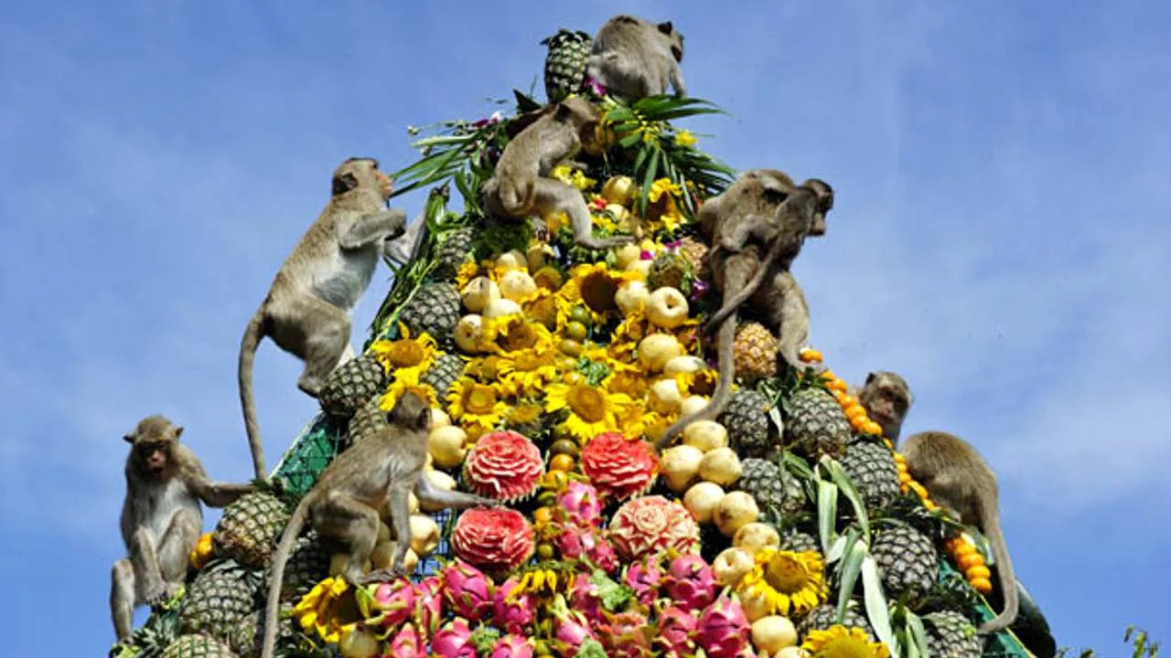 بوفه میمون در تایلند