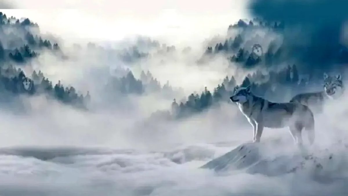 تست بینایی یافتن گرگ ها