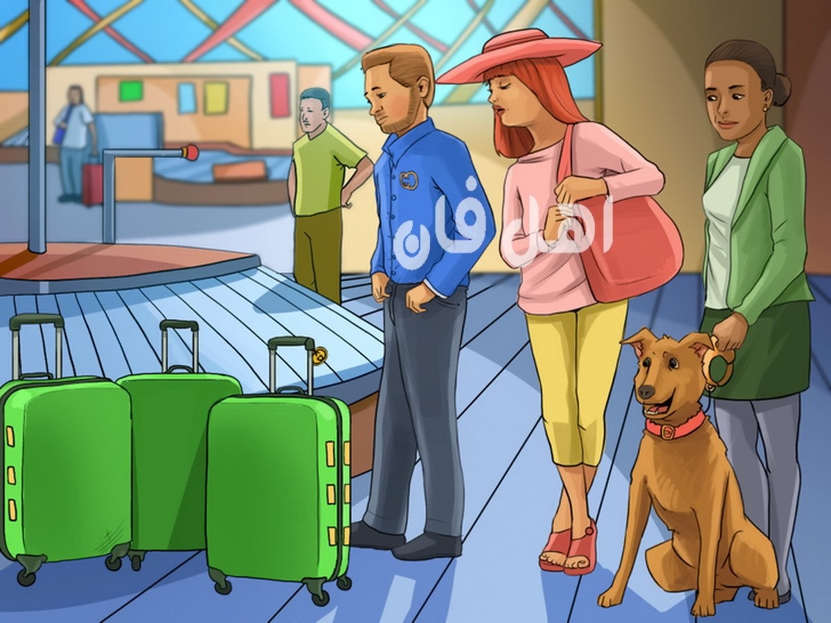 آزمون شناخت چمدان مسافرین