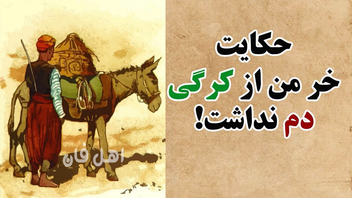 حکایت ضرب المثل خر ما از کرگی دم نداشت