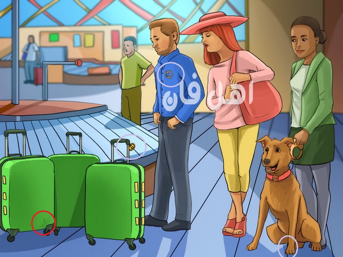پاسخ آزمون شناخت چمدان مسافرین