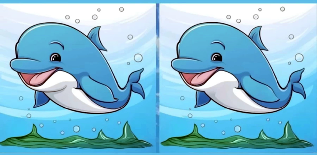 آزمون شناخت تفاوتهای تصویر دلفین1