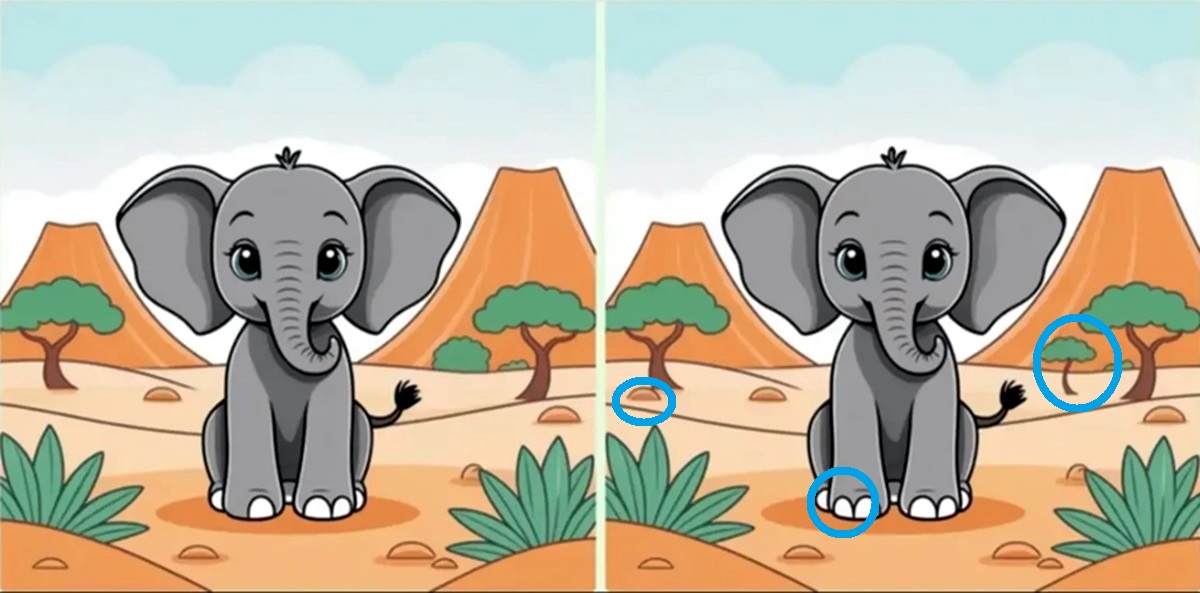 آزمون شناخت تفاوتهای تصویر فیل-2