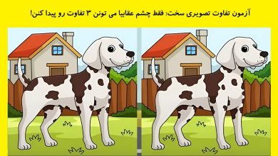 تصویر تفاوت تصویری سگ خالدار-2
