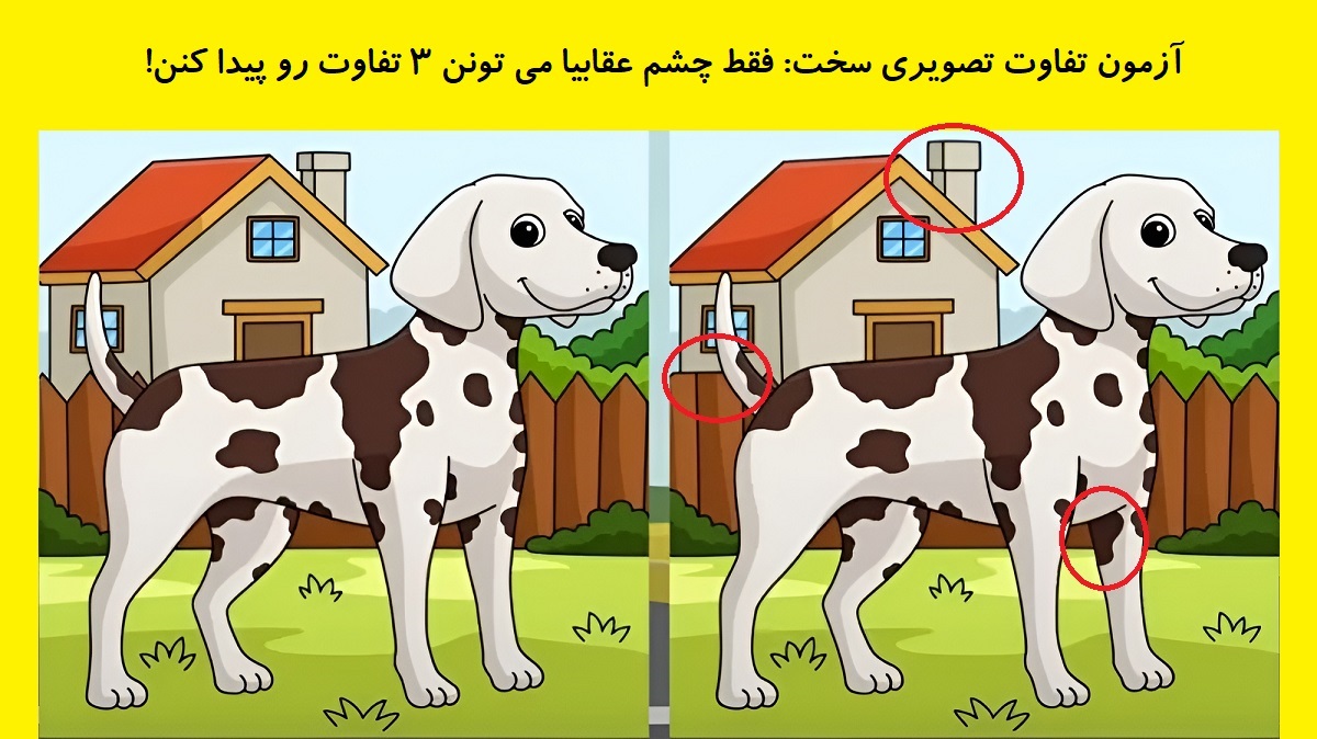 تصویر تفاوت تصویری سگ خالدار