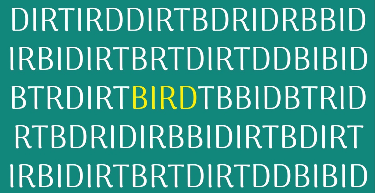 سوال تصویری شناسایی کلمه BIRD-2