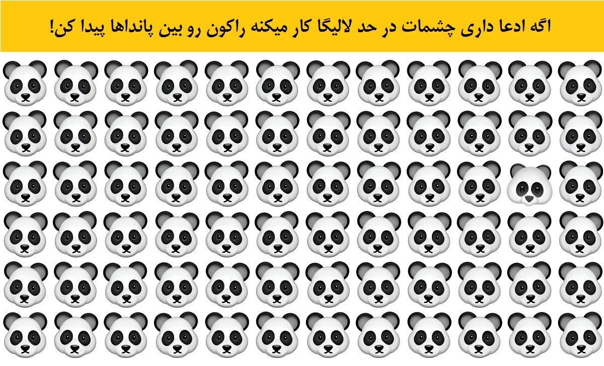 آزمون تست بینایی یافتن راکون