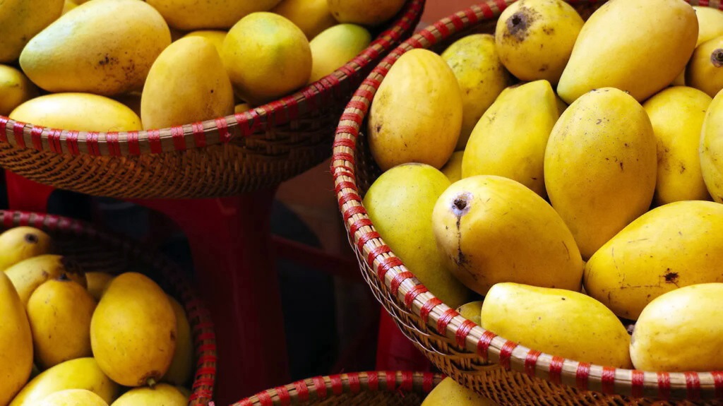 سالم ترین و مغذی ترین میوه ها-انبه