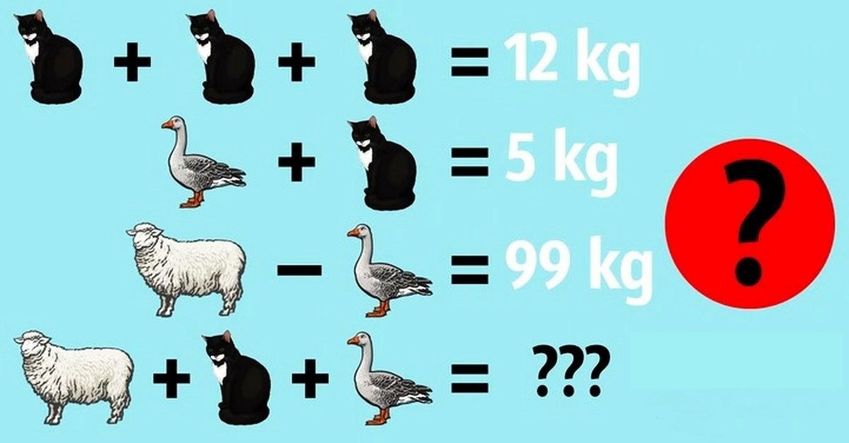 پاسخ آزمون ریاضی با شناخت وزن حیوانات-1