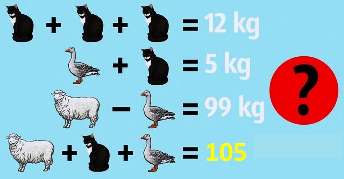 پاسخ آزمون ریاضی با شناخت وزن حیوانات-2