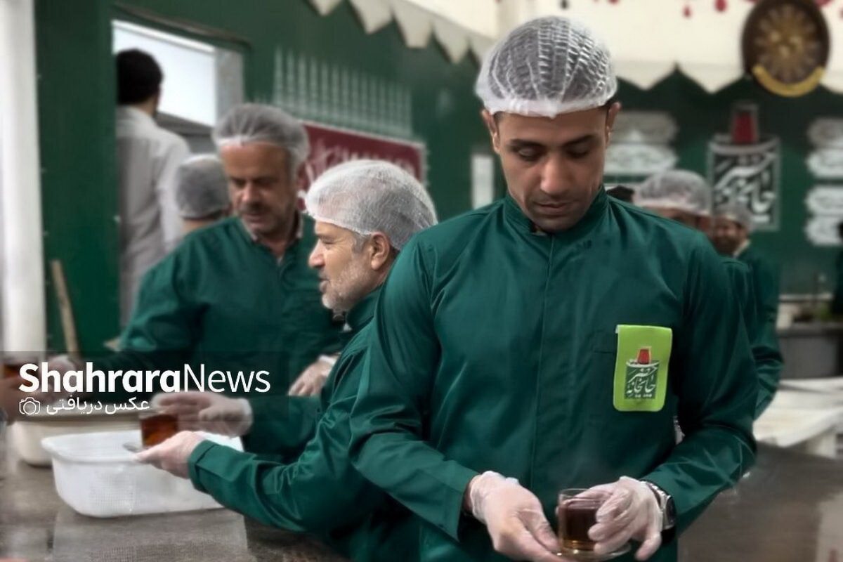 بیوگرافی حسین طیبی قمصری 3