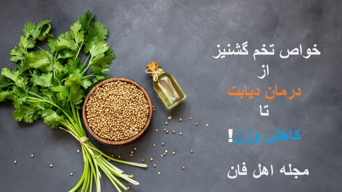 خواص تخم گشنیز