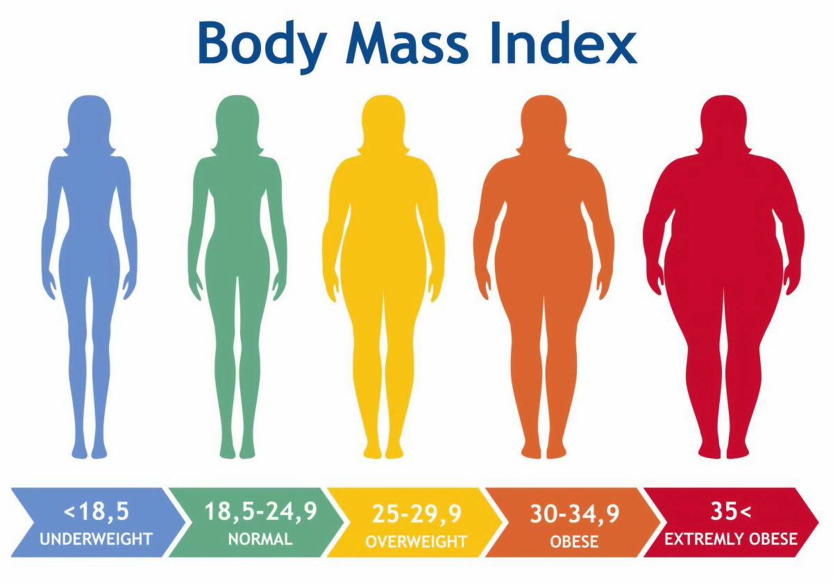 شاخص توده بدنی یا BMI 3