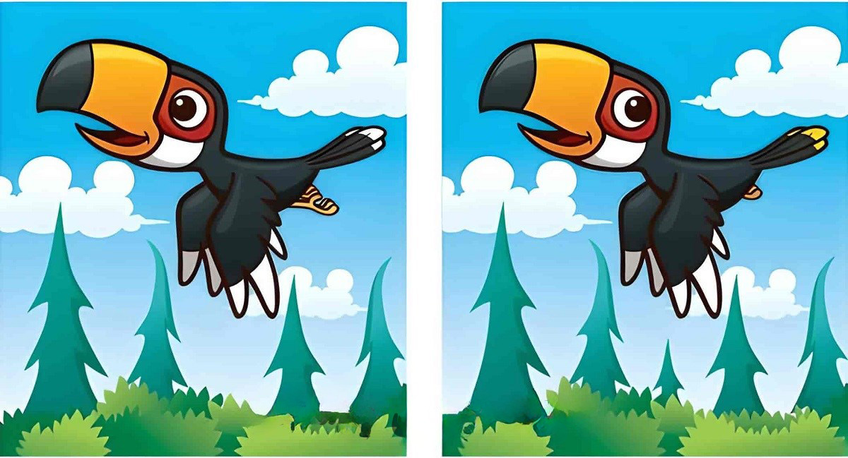 آزمون با شناخت تفاوت تصویر پرنده-1