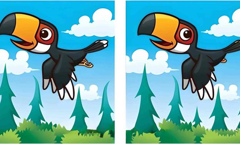 آزمون با شناخت تفاوت تصویر پرنده
