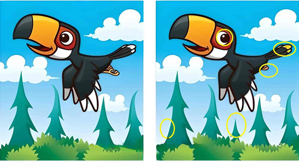 آزمون با شناخت تفاوت تصویر پرنده2