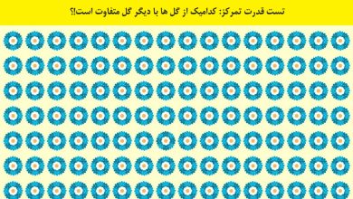 آزمون بینایی با گل متفاوت