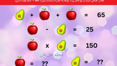 تست با محاسبه عددی میوه ها