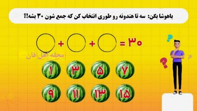 تست هوش با مقدار عددی هندوانه