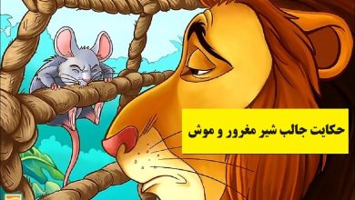 حکایت جالب شیر مغرور و موش