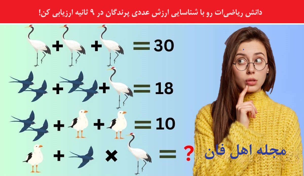 آزمون ریاضی با ارزش پرندگان-1